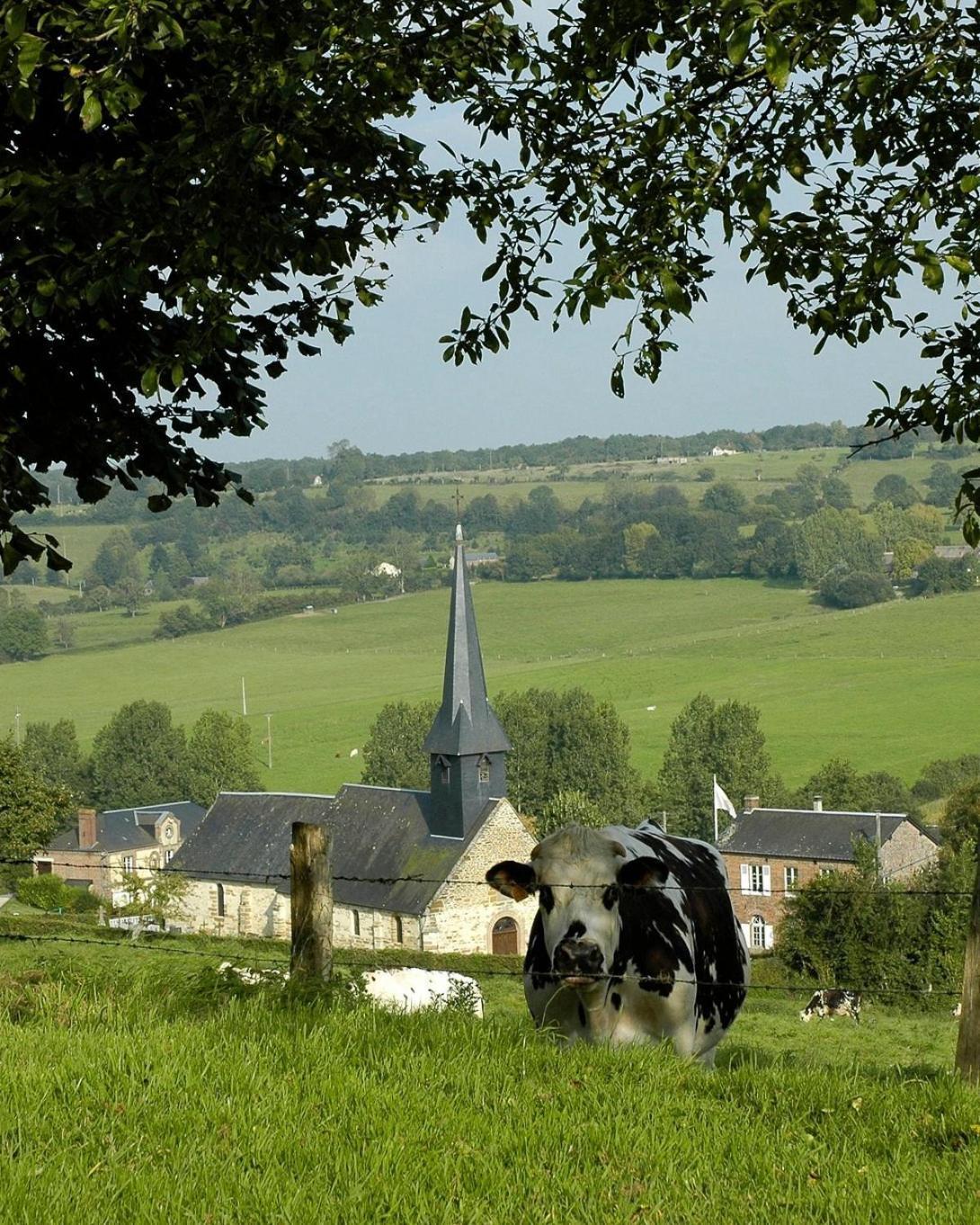 Gite "Le Refuge" Dans Un Domaine De 7Ha Au Calme Vimoutiers Exterior foto