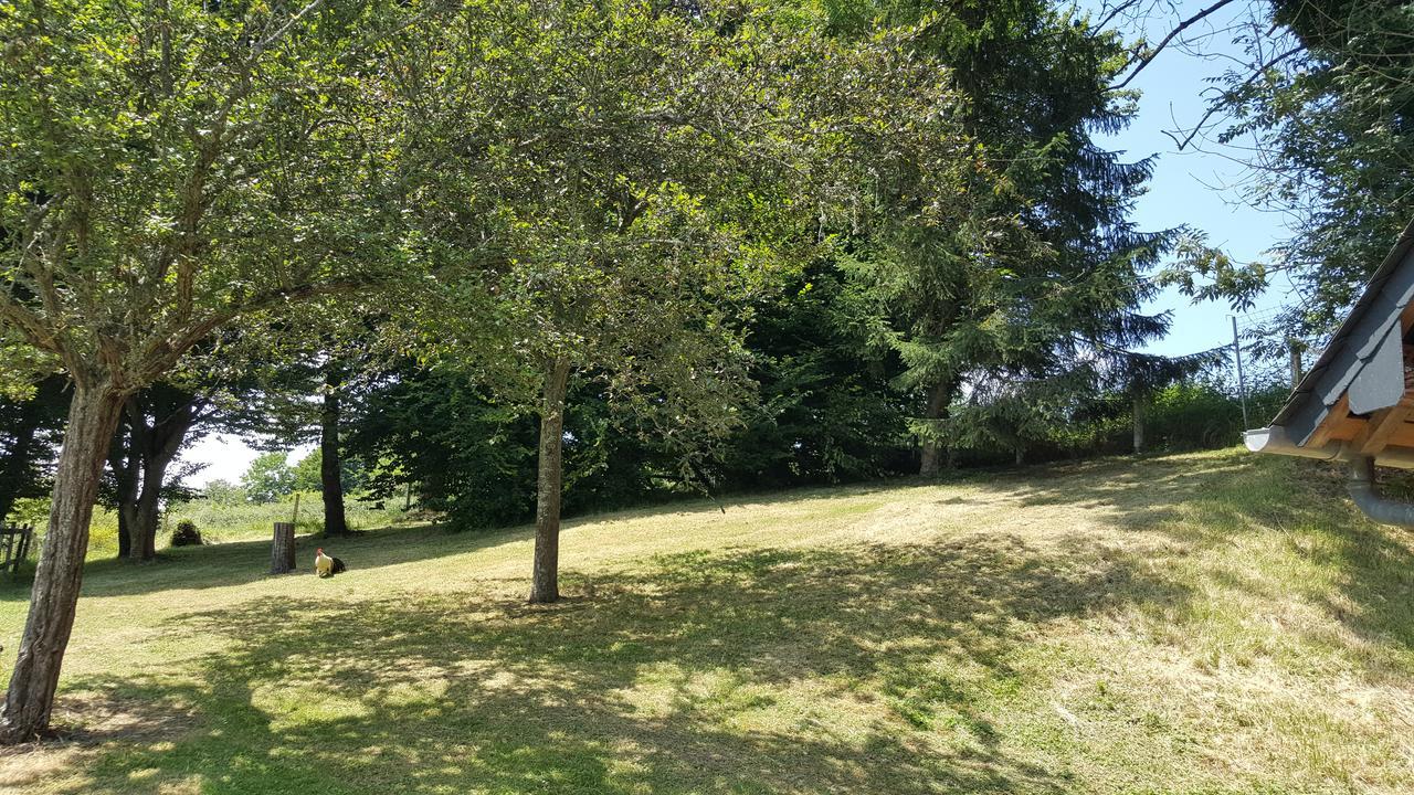 Gite "Le Refuge" Dans Un Domaine De 7Ha Au Calme Vimoutiers Exterior foto